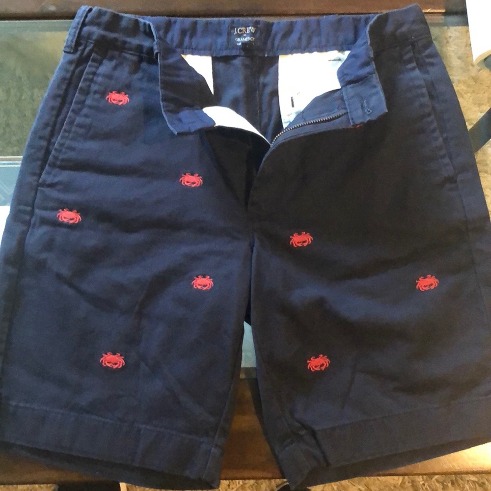 Men’s size 31 J.Crew Gramercy blue shorts